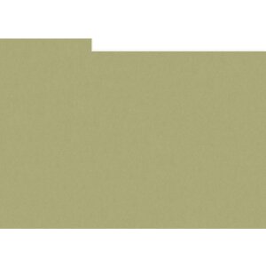 HNFD 10 Photo Box Separadores 15x20 cm - Verde Alga