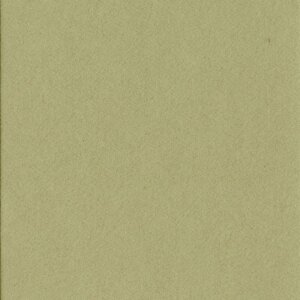 HNFD 10 Photo Box Separadores 15x20 cm - Verde Alga
