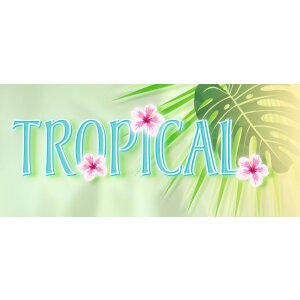 Carpeta Motivo HERMA A4 Tropical - Piña dulce