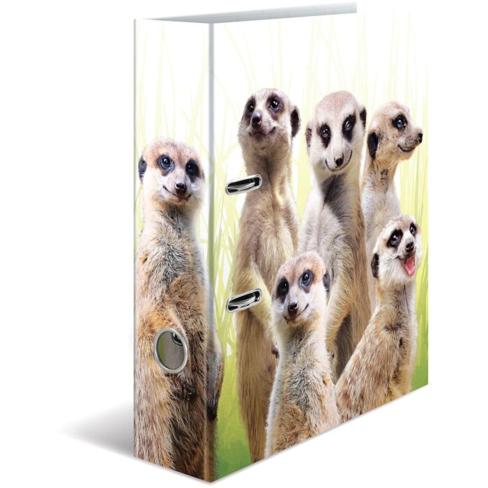 Carpeta motivo HERMA A4 Animales exóticos - tropa suricata