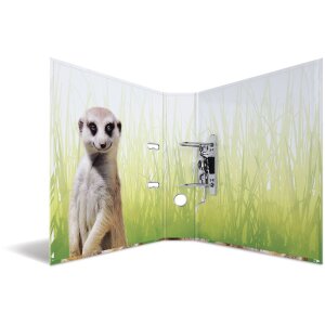 Carpeta motivo HERMA A4 Animales exóticos - tropa...