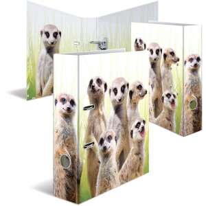 Carpeta motivo HERMA A4 Animales exóticos - tropa suricata