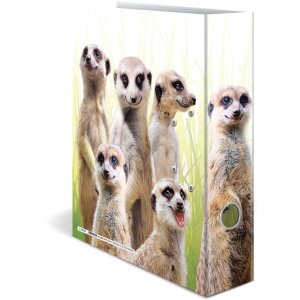 Carpeta motivo HERMA A4 Animales exóticos - tropa suricata