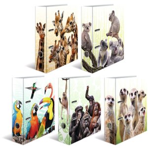 Carpeta motivo HERMA A4 Animales exóticos - tropa suricata
