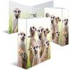 Carpeta motivo HERMA A4 Animales exóticos - tropa suricata