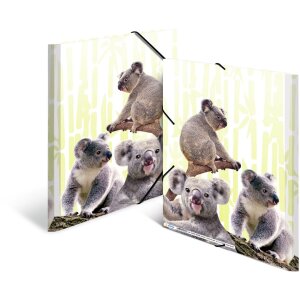Carpeta PP A4 HERMA - Familia Koala