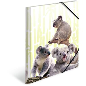 Carpeta PP A4 HERMA - Familia Koala