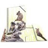 Carpeta PP A4 HERMA - Familia Koala