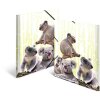 Carpeta PP A4 HERMA - Familia Koala