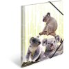 Carpeta PP A4 HERMA - Familia Koala