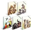 Carpeta PP A4 HERMA - Familia Koala