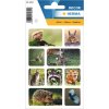 Pegatina HERMA Animales del bosque