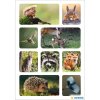Pegatina HERMA Animales del bosque