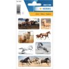 Pegatina HERMA caballos salvajes 3 hojas-paquete