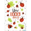 HERMA Sticker tu día de suerte - seda brillante