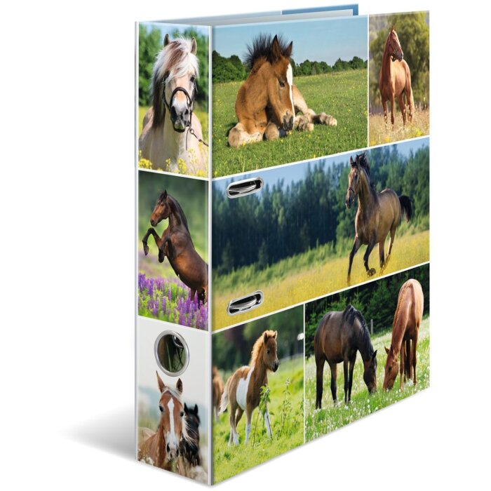 Carpeta motivo HERMA A4 Animales - pradera de caballos