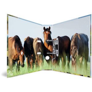 Carpeta motivo HERMA A4 Animales - pradera de caballos