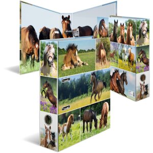 Carpeta motivo HERMA A4 Animales - pradera de caballos