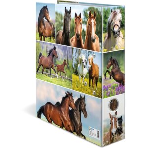 Carpeta motivo HERMA A4 Animales - pradera de caballos