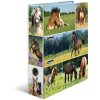 Carpeta motivo HERMA A4 Animales - pradera de caballos