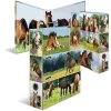 Carpeta motivo HERMA A4 Animales - pradera de caballos