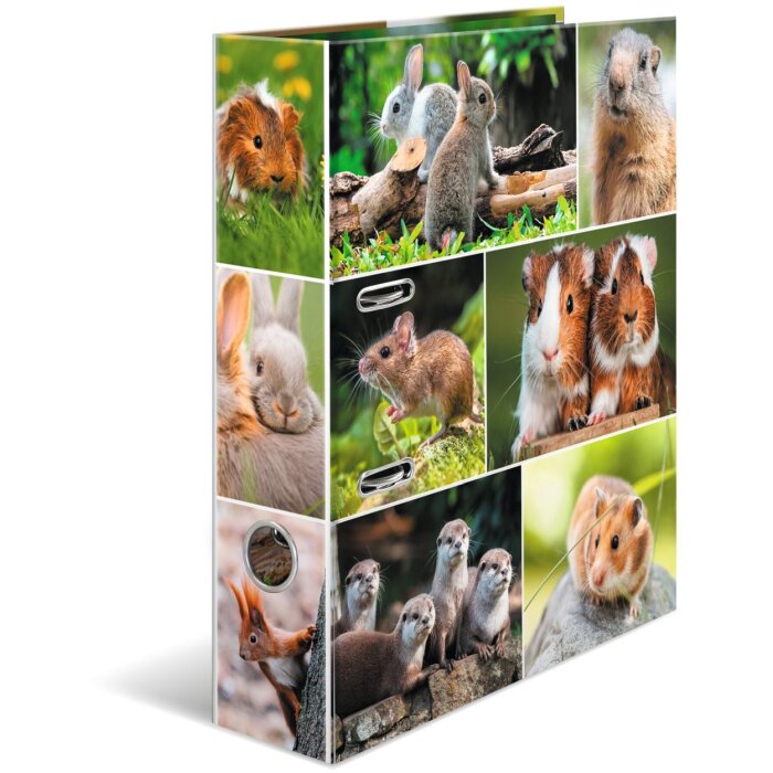 Carpeta Motivo HERMA A4 Animales - Roedores