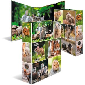 Carpeta Motivo HERMA A4 Animales - Roedores