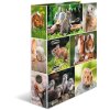 Carpeta Motivo HERMA A4 Animales - Roedores