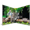 Carpeta Motivo HERMA A4 Animales - Roedores