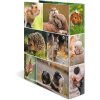Carpeta Motivo HERMA A4 Animales - Roedores