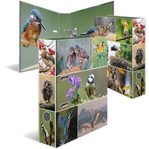 Carpeta Motivo HERMA A4 Animales - Hogar Pájaros