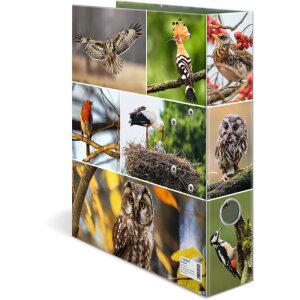 Carpeta Motivo HERMA A4 Animales - Hogar Pájaros