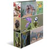 Carpeta Motivo HERMA A4 Animales - Hogar Pájaros