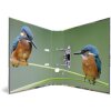 Carpeta Motivo HERMA A4 Animales - Hogar Pájaros
