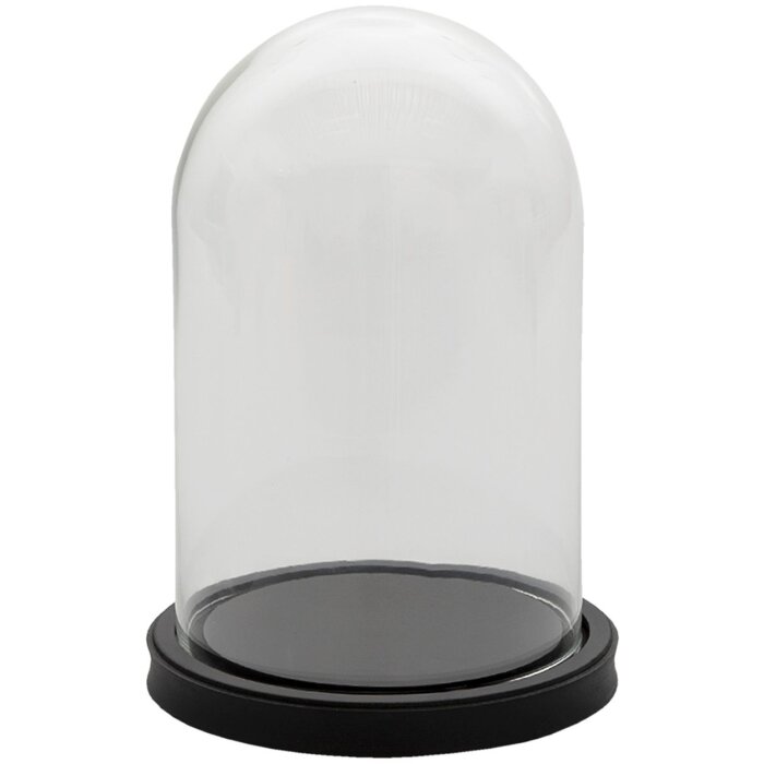 Clayre & Eef 6GL3365 Campana de vidrio negra Ø 17x25 cm