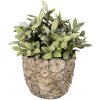 Clayre & Eef 6TE0359M Maceta Interior Gris Ø 14x13 cm