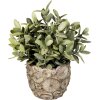 Clayre & Eef 6TE0359S Maceta de interior Gris Ø 11x10 cm