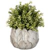 Clayre & Eef 6TE0368S Maceta de interior Gris Ø 15x13 cm