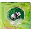 Goldbuch álbum de fotos El Panda 28x25,5 cm 50 páginas blancas