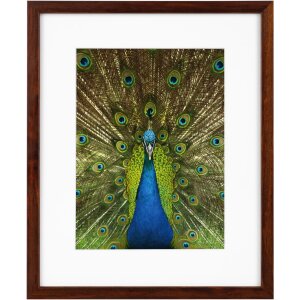 Goldbuch Marco de madera Pino 20x25 cm caoba con...