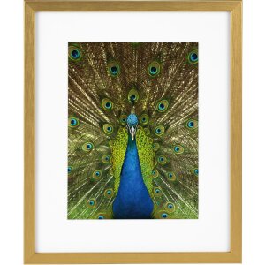 Marco de madera Goldbuch Pino 20x25 cm dorado con...