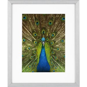 Goldbuch marco de madera Pino 20x25 cm plata con...