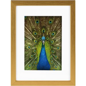 Marco de madera Goldbuch Pino 13x18 cm a 30x40 cm con Passepartout