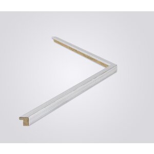 Marco de fotos de madera Valencia con cristal antireflejo plateado 50x100 cm