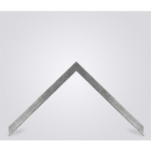 Marco de fotos Walther Oviedo 50x100 cm plata Antireflexglas