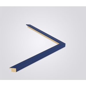 Marco de fotos Walther Barcelona 50x100 cm azul con vidrio transparente