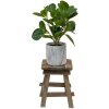 Clayre & Eef 6H2202 Mesa Jardinera Marrón 15x15x21 cm