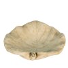 Clayre & Eef 6TE0384 Comedero para pájaros Hoja Beige 22x22x6 cm