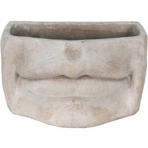 Clayre & Eef 6TE0389L Macetero para interior Boca...