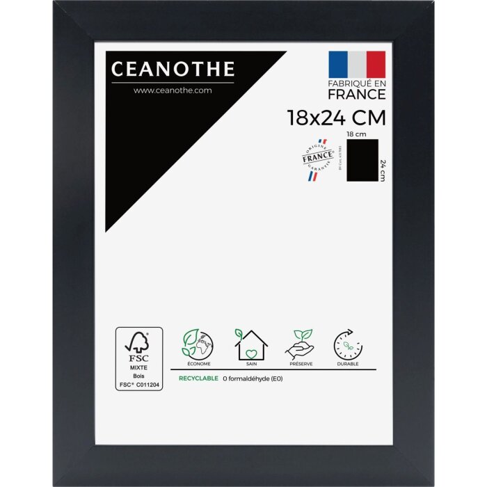 Ceanothe Marco Eternel 20x30 cm negro